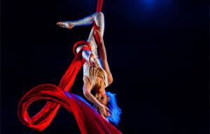 Circus niet met Kerst, maar in mei 2026 naar Akkrum-Nes