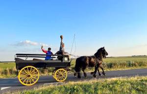 Sompe Safari met rijtuig door de weilanden van De Nije Mieden