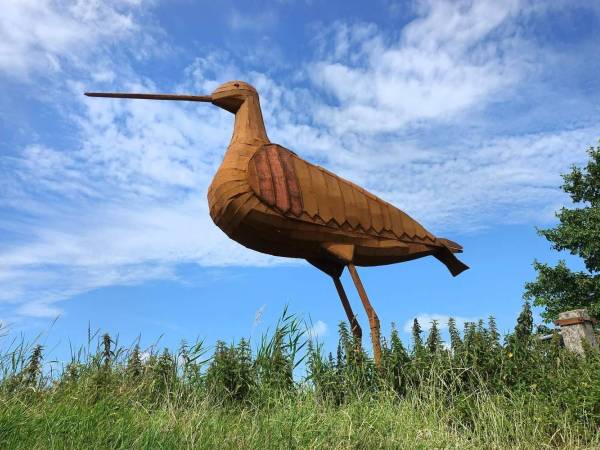 Twee natuurfilms tijdens Bloeiweek Akkrum in De Lantearne en De Nije Mieden