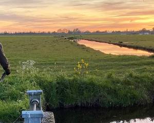 Excursie door Soarremoarre trapt Bloeiweek 2026 alvast af