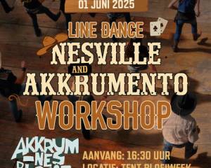 Workshop linedance tijdens Bloeiweek Akkrum