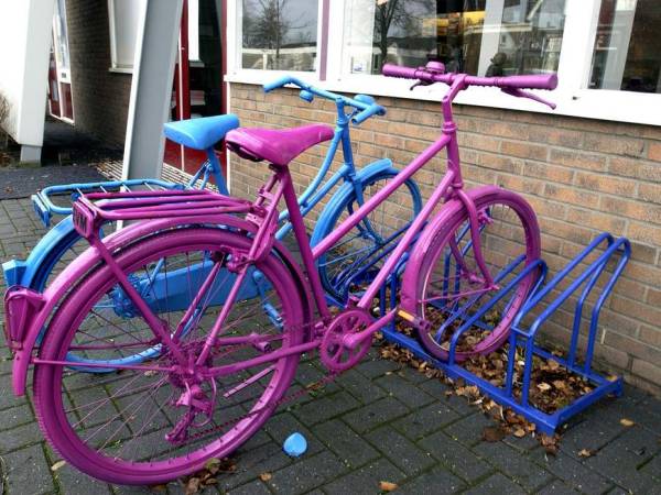 Gezamenlijke fietstocht voor vrouwen langs Friese natuur