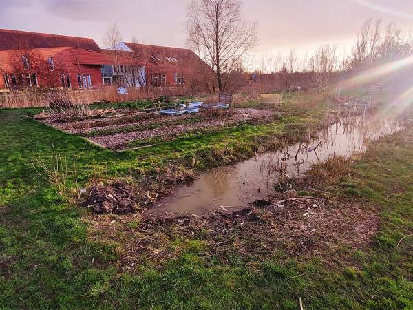 SoftFlow-yoga in het groen tijdens Akkrum-Nes Bloeit