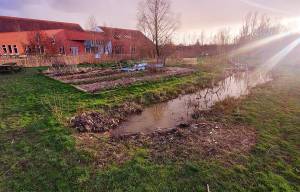 SoftFlow-yoga in het groen tijdens Akkrum-Nes Bloeit