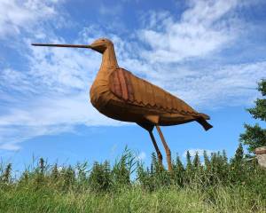 Twee natuurfilms tijdens Bloeiweek Akkrum in De Lantearne en De Nije Mieden