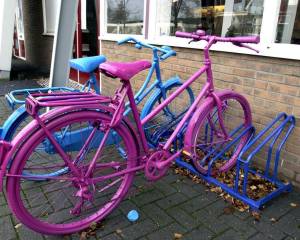 Gezamenlijke fietstocht voor vrouwen langs Friese natuur