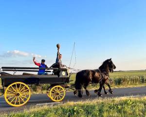 Sompe Safari met rijtuig door de weilanden van De Nije Mieden