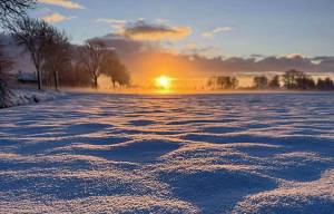 Sneeuwfoto's: dartelende lama's en glijbaan á la Garmisch-Partenkirchen