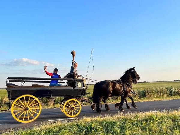 Sompe Safari met rijtuig door de weilanden van De Nije Mieden