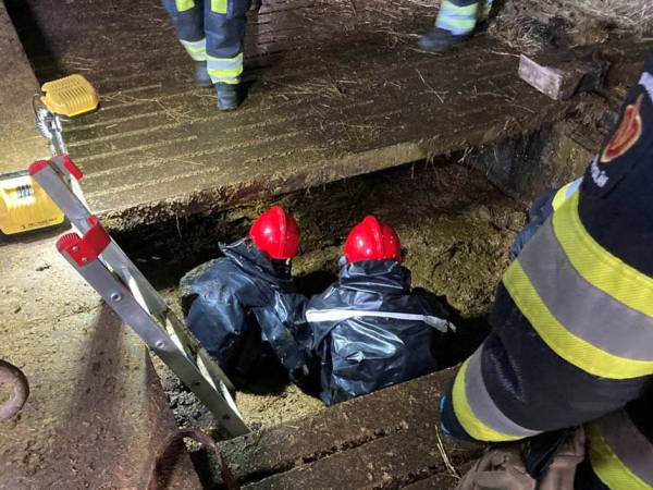 ,,Direct brandweer bellen als kalf in mestput valt''