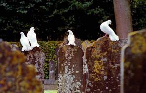 Kranslegging bij oorlogsmonument in Vredesweek Akkrum