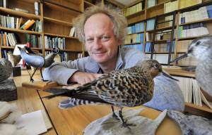 Trekvogelprofessor Theunis Piersma vertelt over zwaluwen in Swellenêst